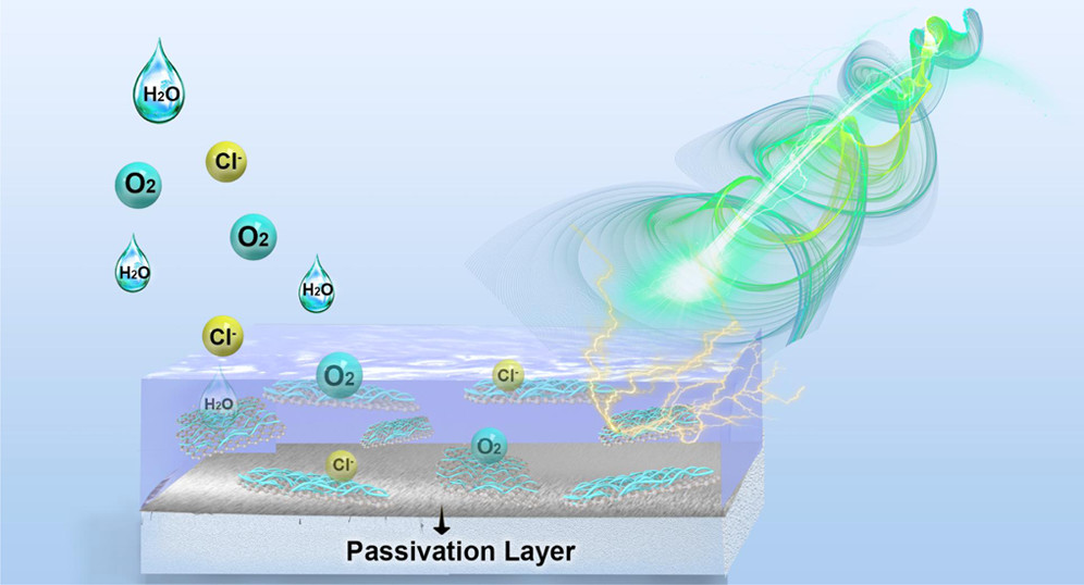 images_large_an2c01993_0011.jpeg images_large_an2c01993_0011.jpeg