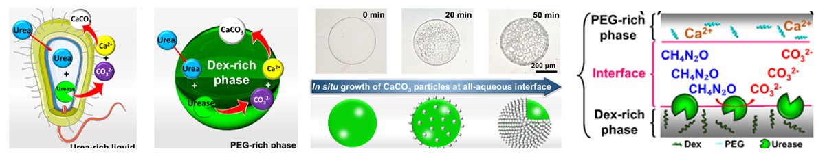 图片2.jpg 图片2.jpg