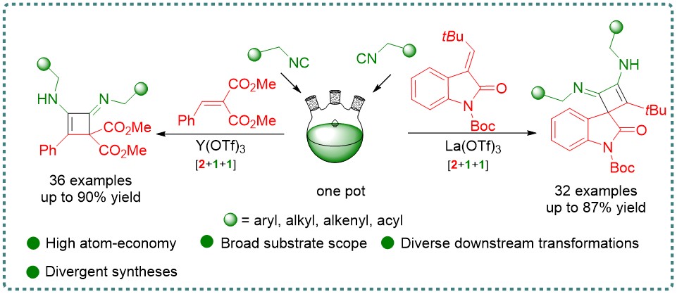 2024 OCF2.jpg 2024 OCF2.jpg