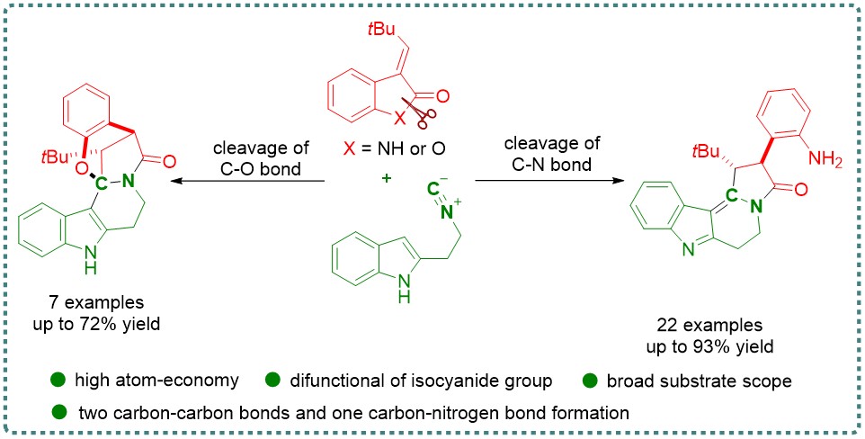 2024 OCF.jpg 2024 OCF.jpg