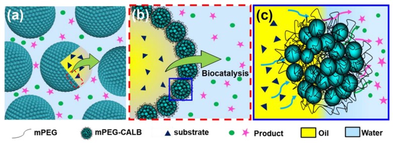 图片2.jpg 图片2.jpg