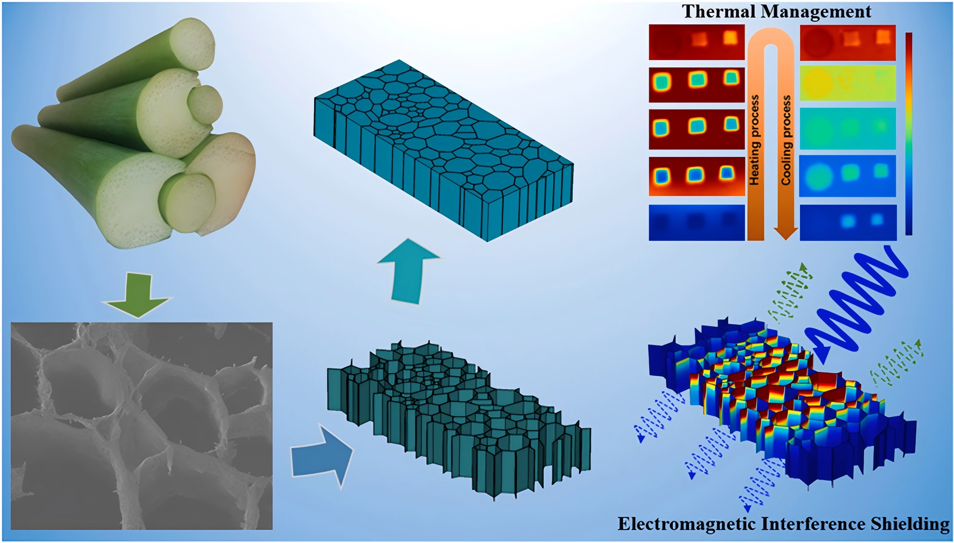 2024 65.png 2024 65.png