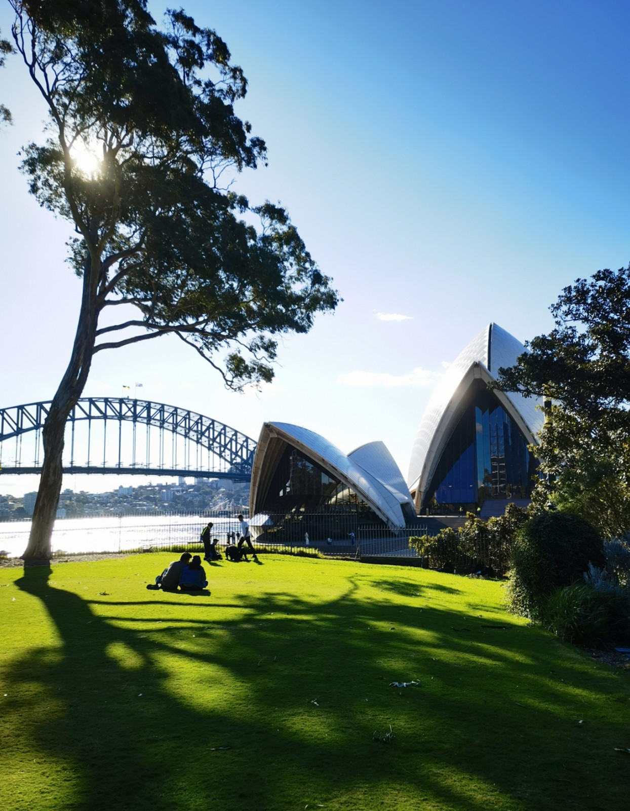 2 皇家植物园远望.jpg